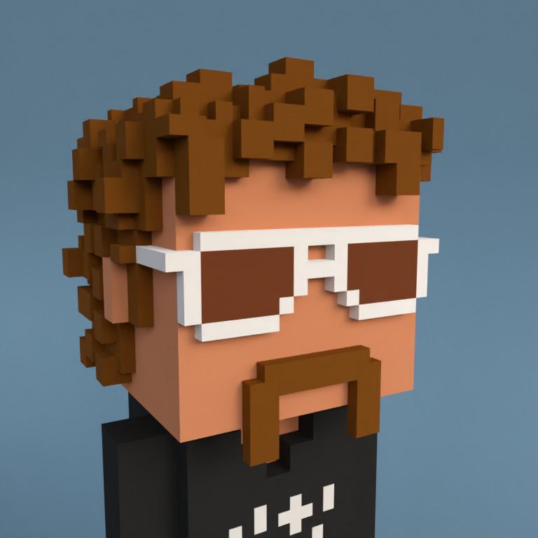 Meebit #243 — Portrait
