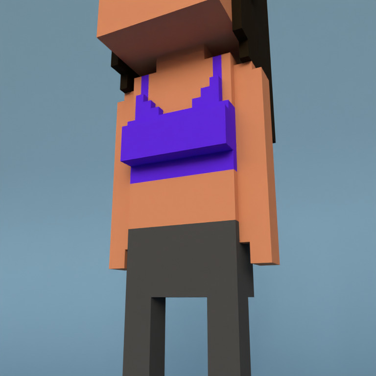 Meebit #505 — Outfit