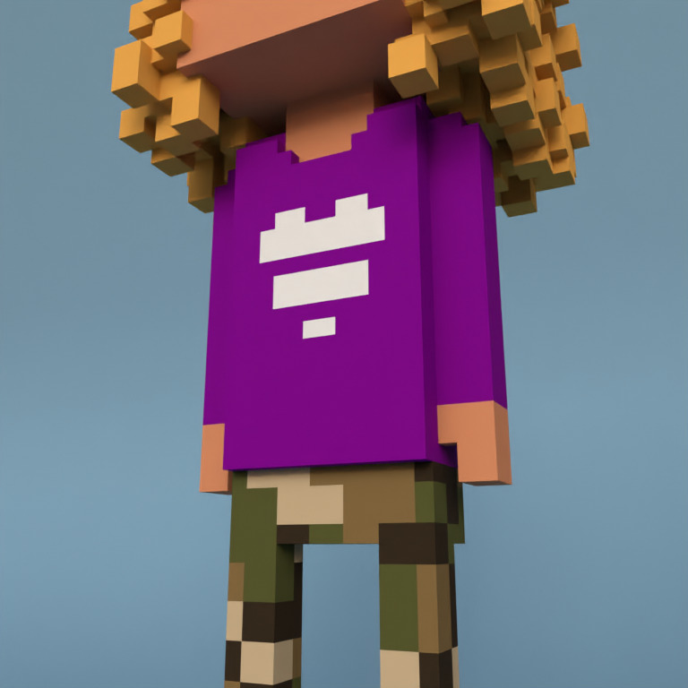Meebit #533 — Outfit