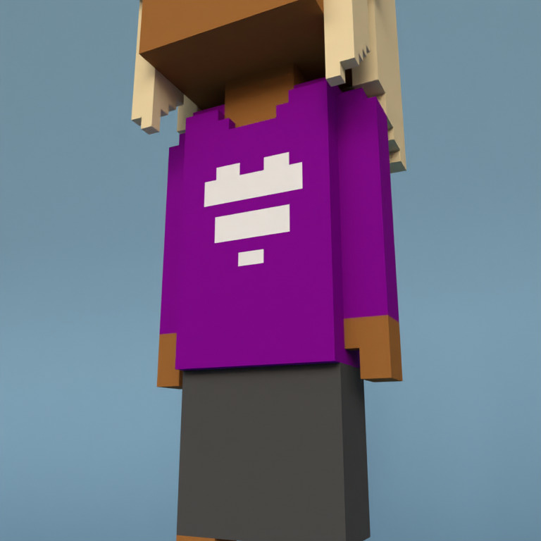 Meebit #539 — Outfit