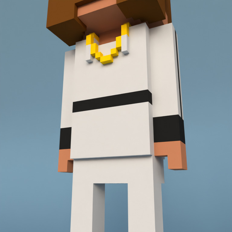 Meebit #1190 — Outfit
