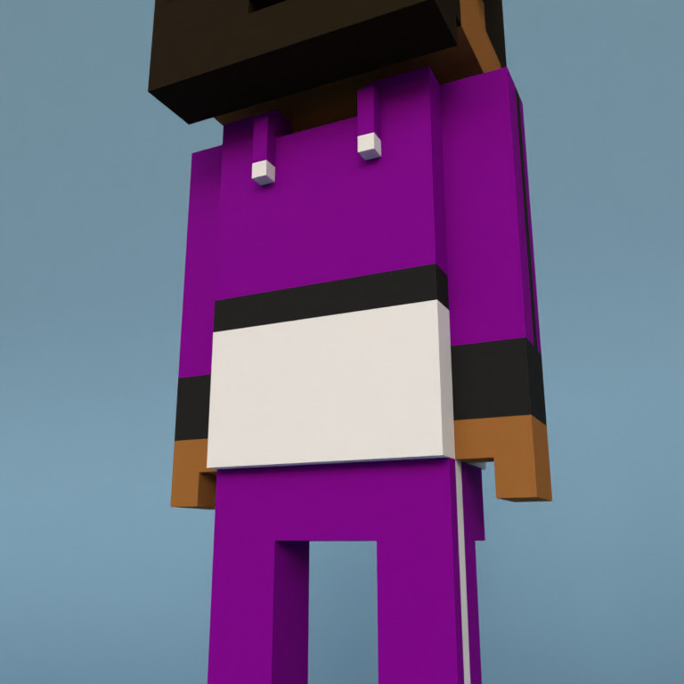Meebit #2070 — Outfit