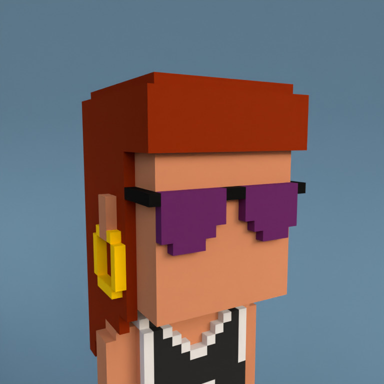 Meebit #2490 — Portrait
