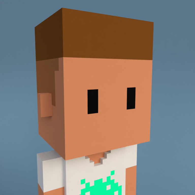 Meebit #2529 — Portrait