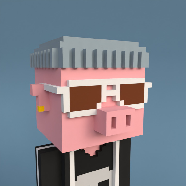 Meebit #2743 — Portrait