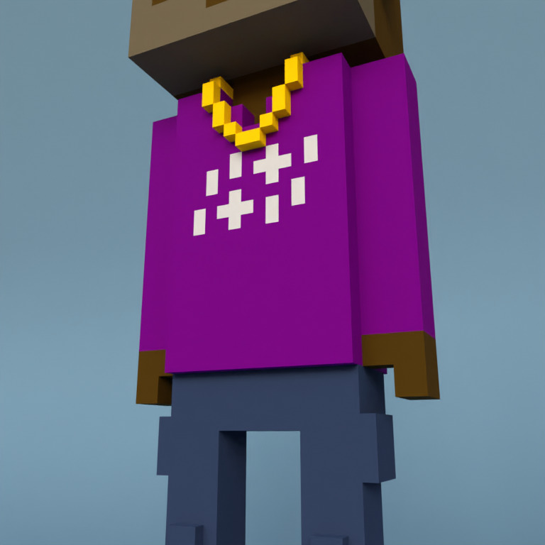 Meebit #3489 — Outfit