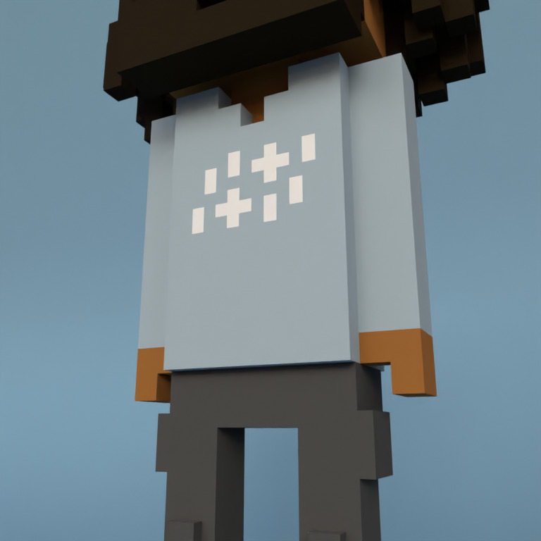 Meebit #4045 — Outfit