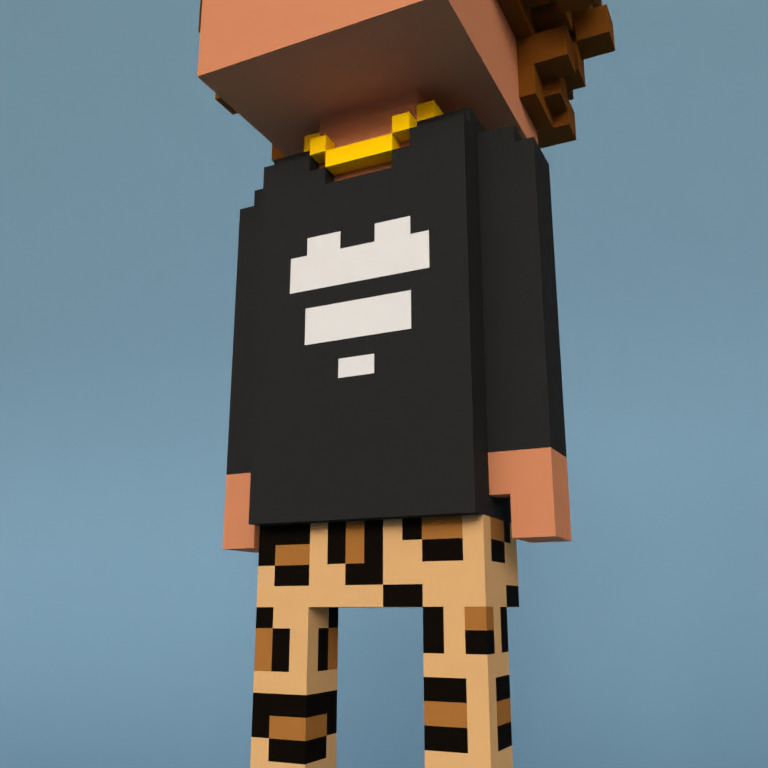 Meebit #4170 — Outfit