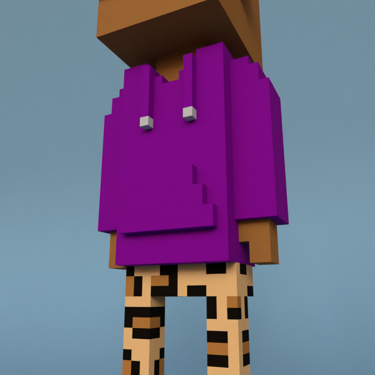 Meebit #4376 — Outfit