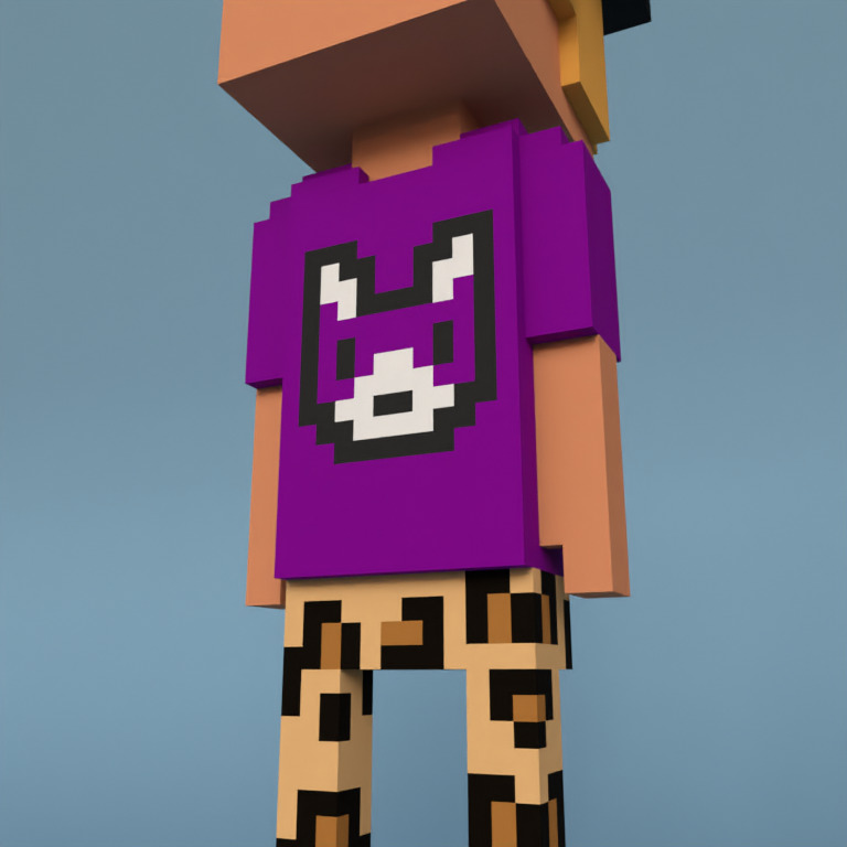 Meebit #5800 — Outfit