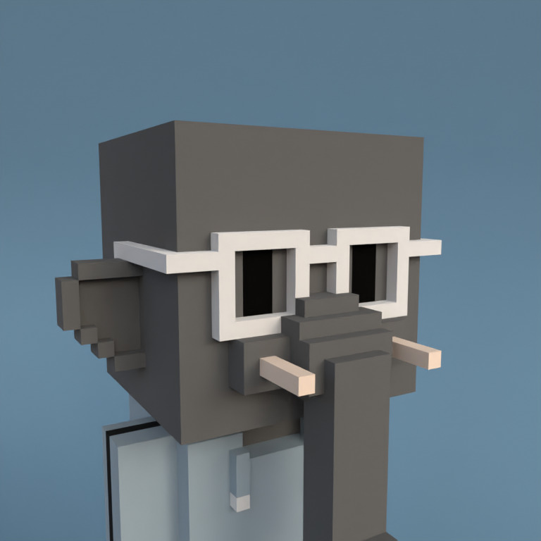 Meebit #6340 — Portrait