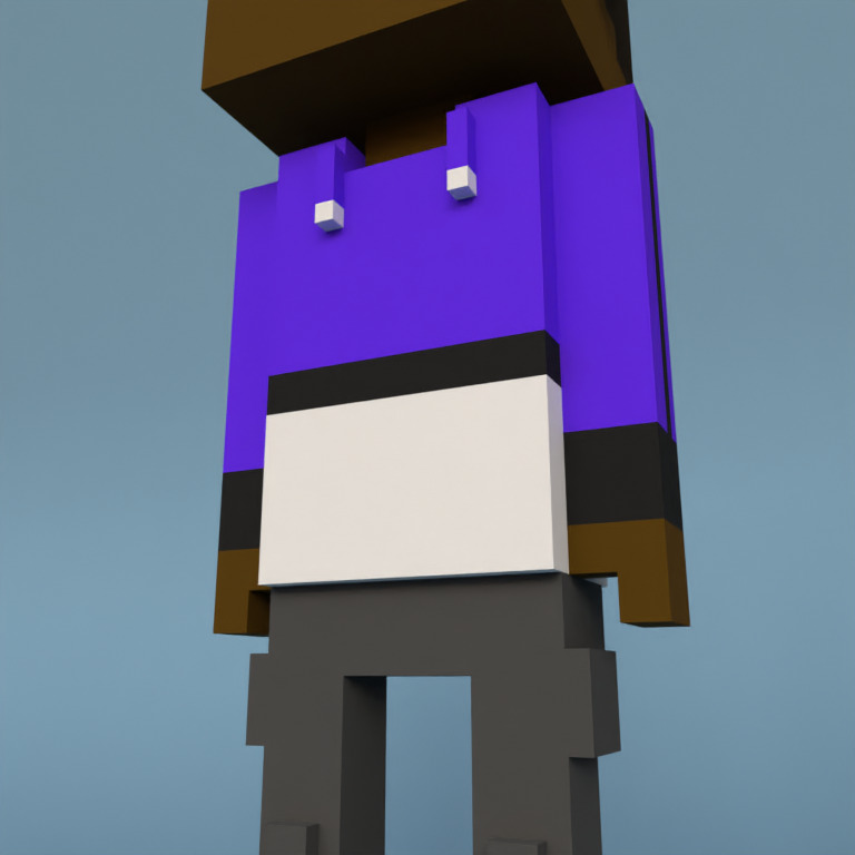 Meebit #6343 — Outfit