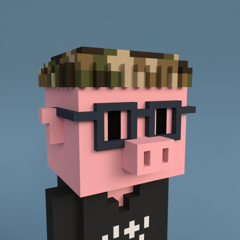 Meebit #6456 — Portrait