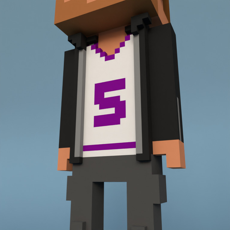 Meebit #6538 — Outfit