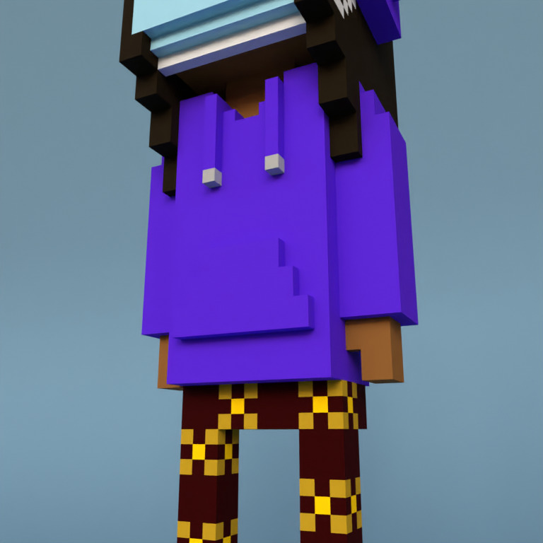 Meebit #6907 — Outfit