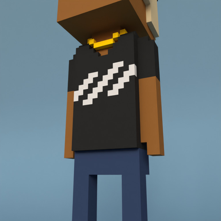 Meebit #8078 — Outfit