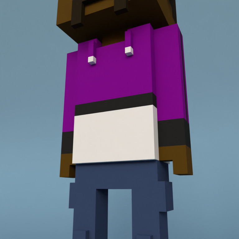 Meebit #8539 — Outfit