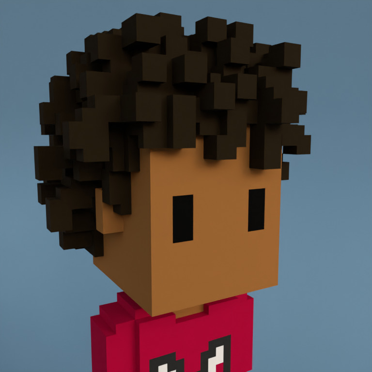 Meebit #8811 — Portrait
