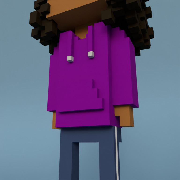 Meebit #11111 — Outfit