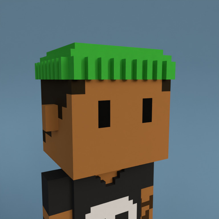 Meebit #11529 — Portrait