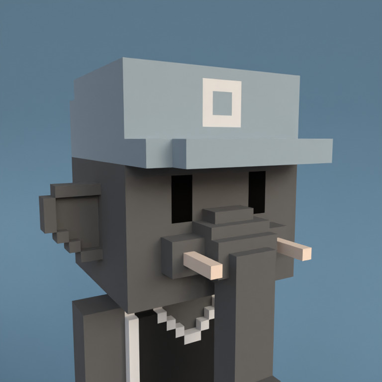 Meebit #11579 — Portrait