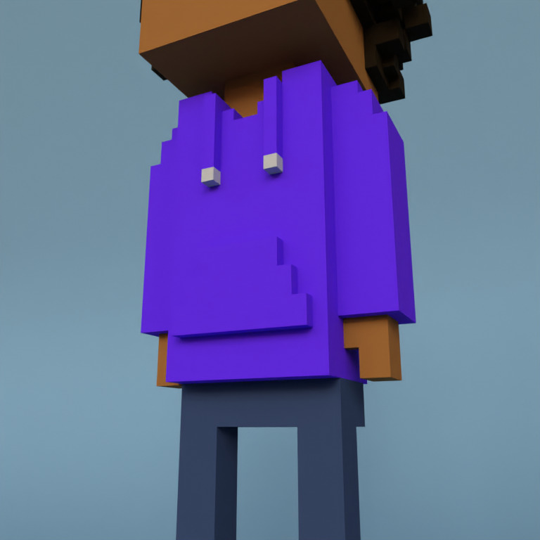Meebit #11629 — Outfit