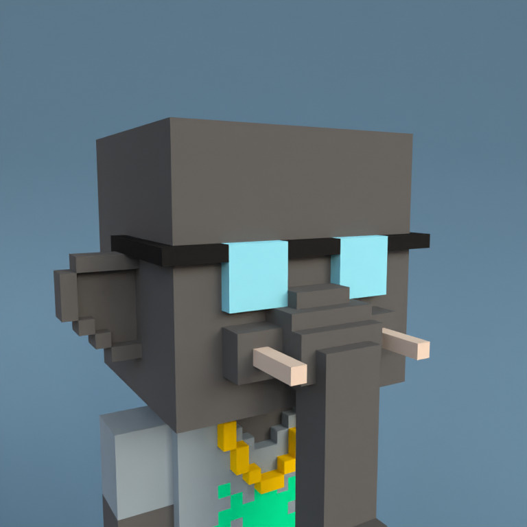 Meebit #11843 — Portrait