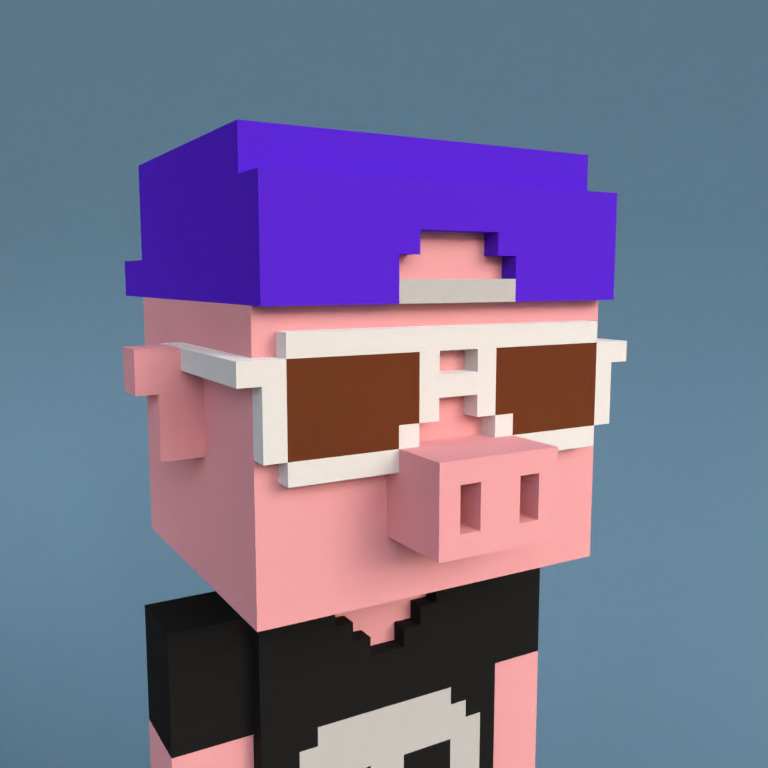 Meebit #13371 — Portrait