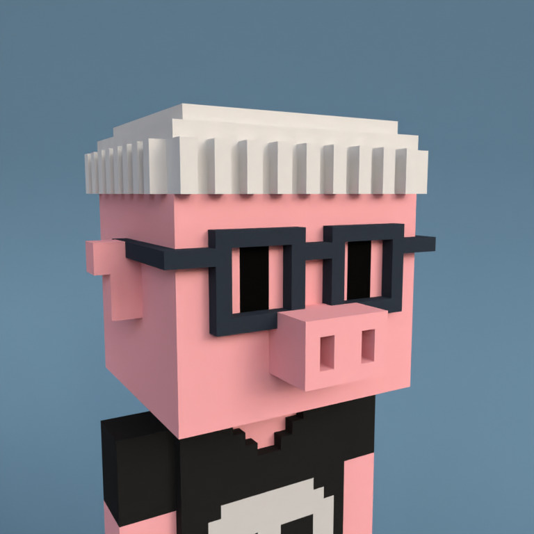 Meebit #13966 — Portrait
