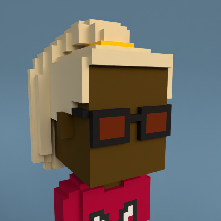 Meebit #14293 — Portrait