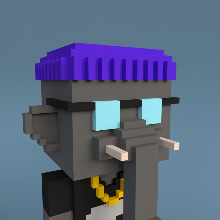 Meebit #15343 — Portrait