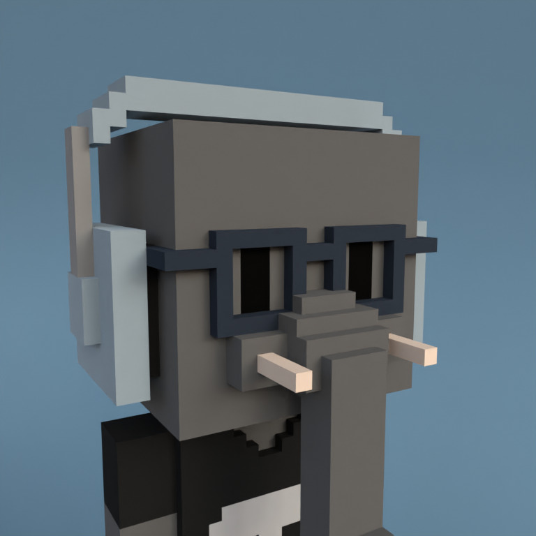 Meebit #16629 — Portrait