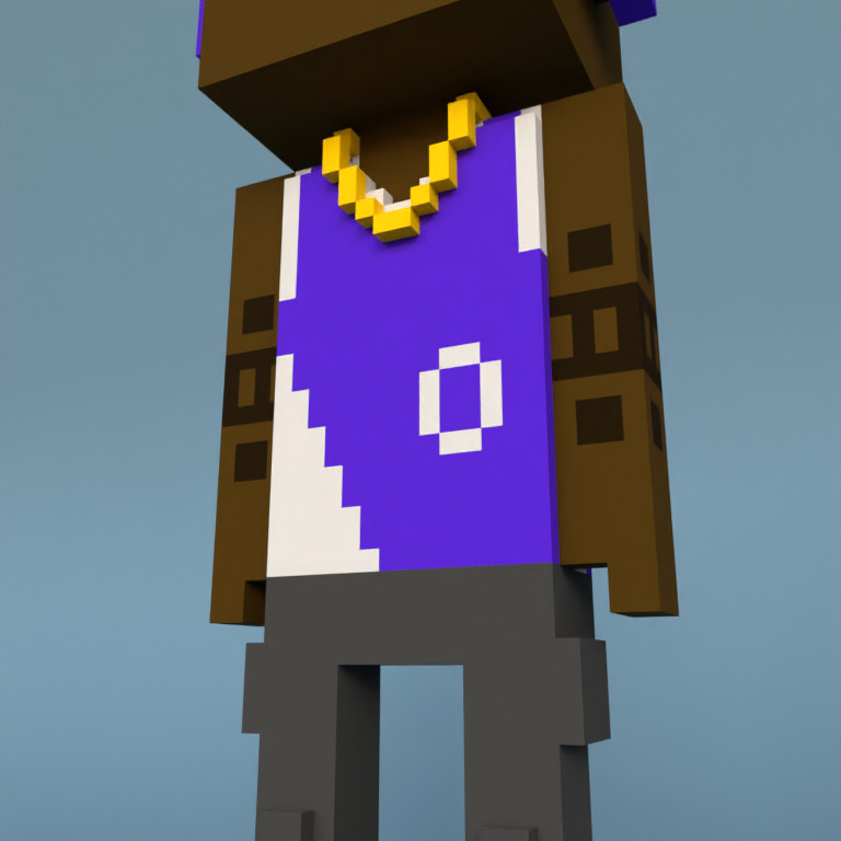 Meebit #17005 — Outfit