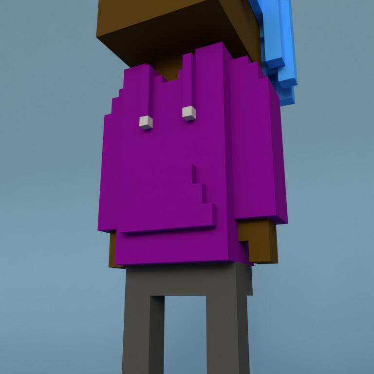 Meebit #17202 — Outfit