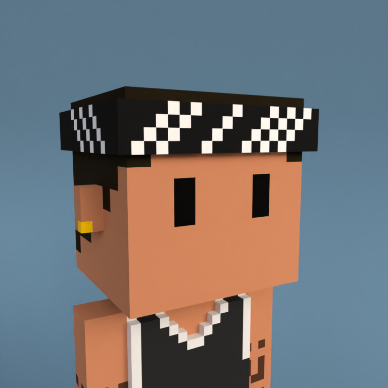 Meebit #19315 — Portrait