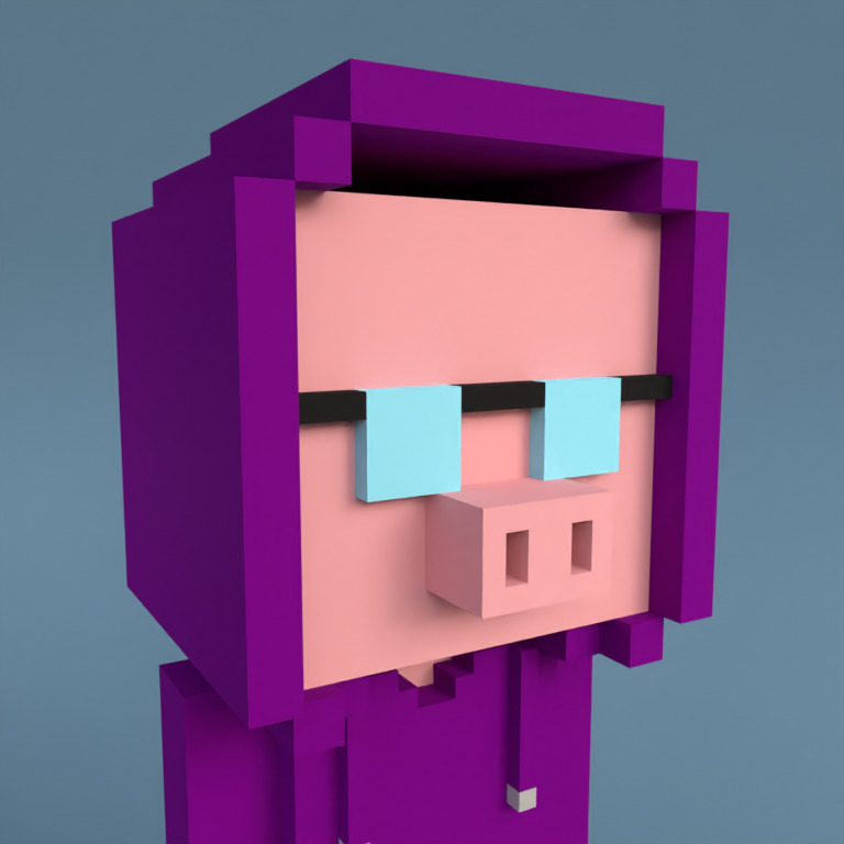 Meebit #19896 — Portrait